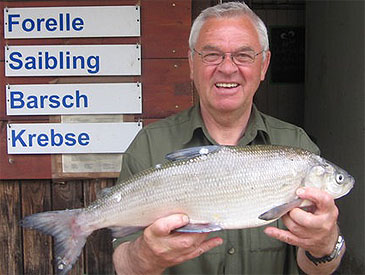 3043_Horst Hennings_Schaalsee Whitefish_Coregonus holsata.jpg